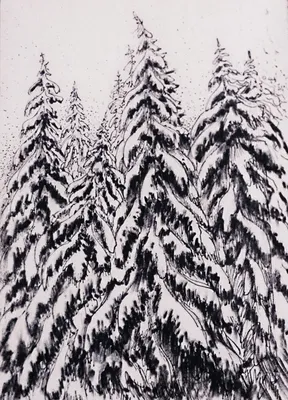 зимний фон. заснеженный лес Стоковое Фото - изображение насчитывающей пуща,  пейзаж: 226332146