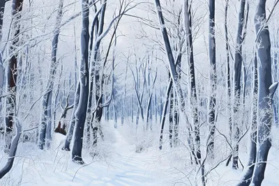 Жуткий темный зимний лес - 74 фото
