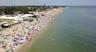 Відпочинок в Затоці 2021: кращі пляжі, чи є водорості і медузи | OBOZ.UA