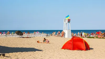 Веб-камеры в ЗАТОКЕ с видом на пляж и Черное море