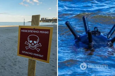 ОТДЫХ В ЗАТОКЕ 2024: куда поехать на море