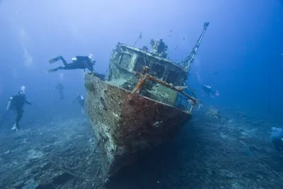 Тольяттинцы будут искать в Черном море затонувшие корабли Великой  Отечественной | TLT.ru - Новости Тольятти