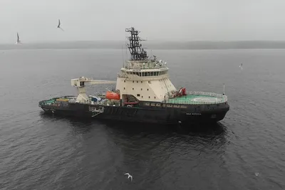 Затонувший корабль «Одесский горсовет» в Витязево — Фото и видео