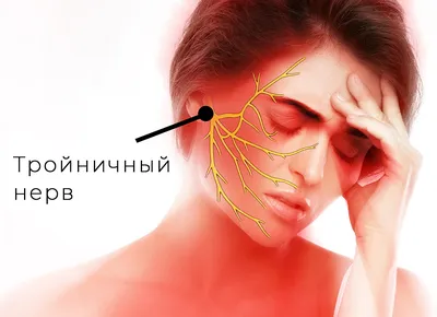 Черепные нервы и их дисфункции – Остеопатия Украина