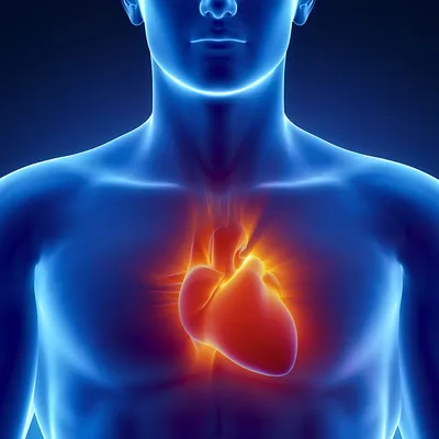Комплекс «Здоровое сердце» - Клиника доказательной медицины NEPLACEBO