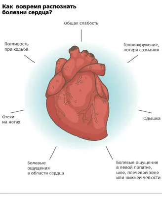 Хочешь иметь здоровое сердце - лечи позвоночник