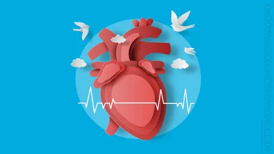 Программа «Здоровое сердце» - Семейная клиника на Рахманинова