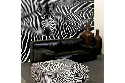 Фотообои 2 х 2,8 м виниловые на флизелиновой основе зебра - купить по  выгодной цене в интернет-магазине OZON (967894939)