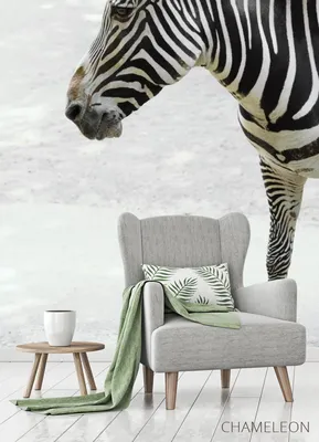 Черно-белые абстрактные 3D-обои с зеброй, Настенные обои для гостиной,  телевизора, дивана, Настенные обои для спальни, домашний декор | AliExpress