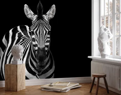3d обои на заказ, Ретро стиль, винтажная черно-белая зебра, обои для  дивана, гостиной, спальни, ТВ, фон, Настенный декор | AliExpress