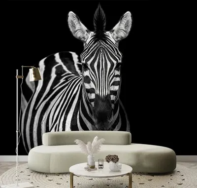 Обои зебра на белом фоне