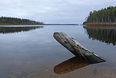 Красивые места России. Зейское водохранилище | Пикабу