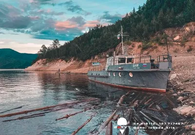 Зейское море в объективе: пес-талисман Самсон, красные берега и щучья уха