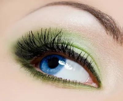 Осенний макияж [мейкап осень] тренды для зеленых, серых, голубых и карих  глаз