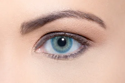 Цвет волос для зеленых глаз: какой подходит, фото и идеи окрашиваний