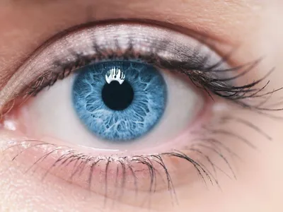 Купить Цветные контактные линзы FreshGo для глаз Зелено-серые контактные  линзы Косметические контактные линзы 1 пара цветных контактных линз на год  Красивые ученики | Joom