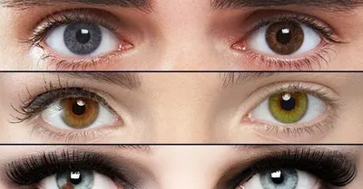 А какой у вас цвет глаз ? | Пикабу