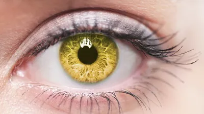 Желто зелено карие глаза - 79 фото