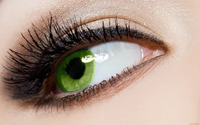 глаз#глаза#карие#зеленые#встреча#любовь#tiktok | TikTok