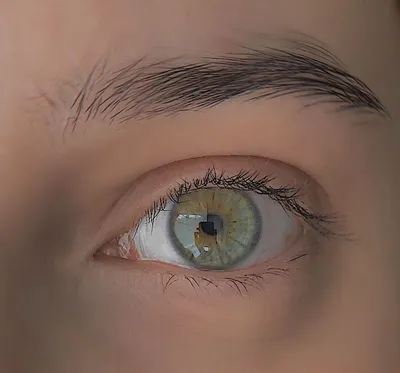Оттенки глаз( ° °) | Пикабу
