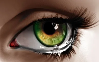 Глаза Зеленый Глаз Прекрасные - Бесплатное фото на Pixabay - Pixabay