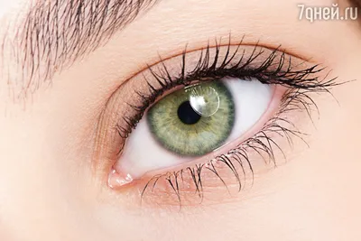 Зеленые глаза фото фото