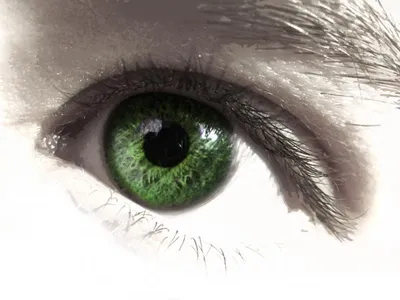 Глаза цвета яркой зелёной травы, …» — создано в Шедевруме