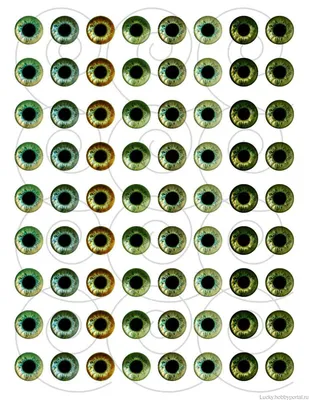 Интересные Факты про Зеленые Глаза Как Привлечь Внимание