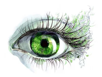 Зеленые глаза и цветные линзы«Optic Land®» Интернет-магазин оптики и  контактной коррекции