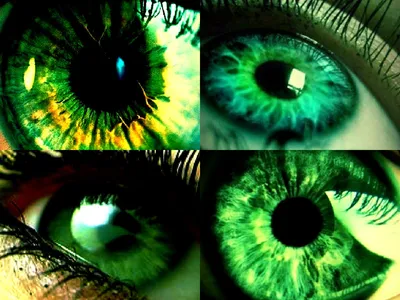 Зеленый драконий глаз. Зеленый человеческий глаз деревянного дракона. Зеленые  глаза. Концепция мифологических существ. Звериный глаз. Фантастический  монстр. Древняя рептилия. Темные тона. 3D-иллюстрация. Символ 2024 года -  Ozero - российский фотосток