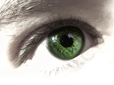 Изумрудно-зеленые глаза с …» — создано в Шедевруме
