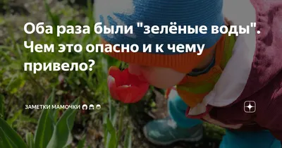 Зеленые воды при родах: причины, возможные осложнения и последствия для  ребенка, диагностика, лечение и профилактика