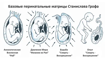 зеленые воды при родах — 25 рекомендаций на Babyblog.ru