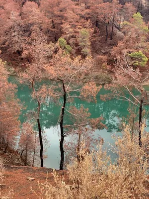 ЗЕЛЁНЫЙ КАНЬОН(Green Canyon) ТУРЦИЯ | Алла Путешественница | Дзен