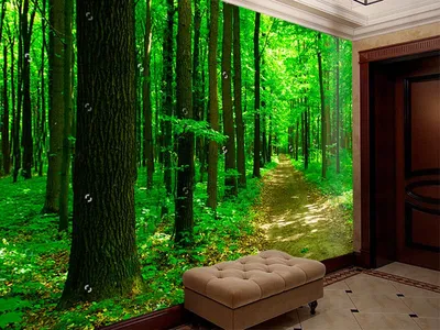 4,702,541 зеленый лес стоковые фото – бесплатные и стоковые фото RF от  Dreamstime