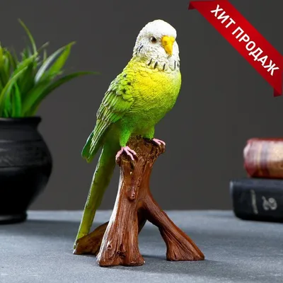 зеленый попугай с красными перьями на лице, картинка зеленый попугай,  попугай, птица фон картинки и Фото для бесплатной загрузки
