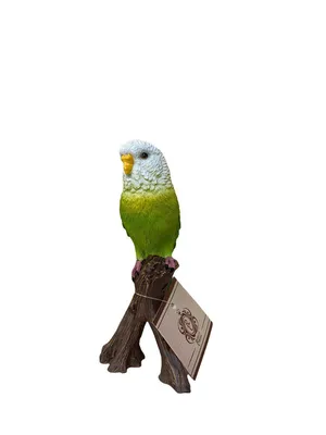зелёный попугай стоковое фото. изображение насчитывающей листво - 237806448