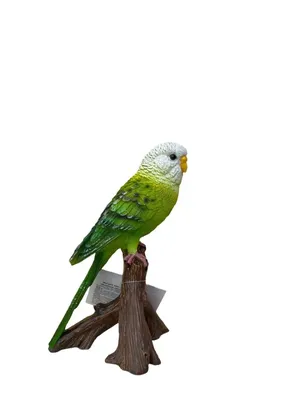 Красно-зеленый попугай - онлайн-пазл