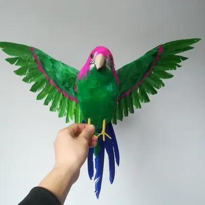 Зеленый попугай - картинки и фото poknok.art