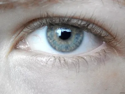 Интересные Факты про Зеленые Глаза Как Привлечь Внимание