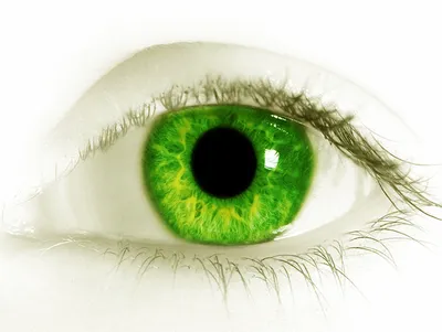 Макро-Фото: зеленый цвет глаз на снимке» — создано в Шедевруме