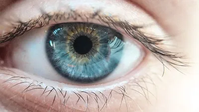 От чего зависит цвет глаз у человека: таблица зависимости. Как наследуется цвет  глаз. Как передается доминантный цвет глаз