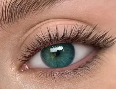 Pin by Lovememoré on eye aesthetics | Green eyes, Dark green eyes,  Beautiful eyes color