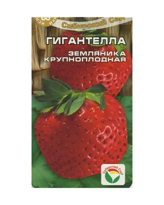 http://pokupki-prosto58.ru/tovar/sazhency-zemlyanika-gigantella-srednyaya-765867131