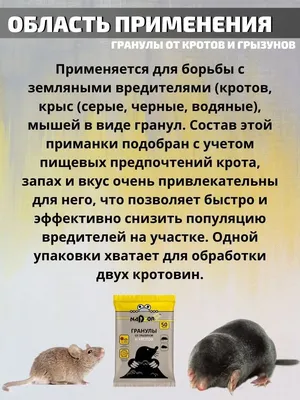 Травить грызунов крыс и мышей в Москве - Дезцентр-Русь