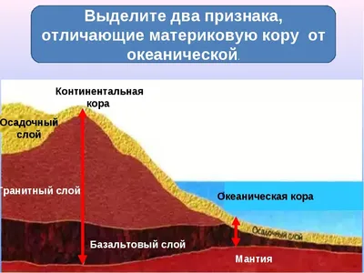 20. Земная кора — верхняя часть литосферы | Сельский географ | Дзен