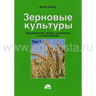 Зерно,всячески пытаеться внести всем | Фиона Тян Морозова | Дзен