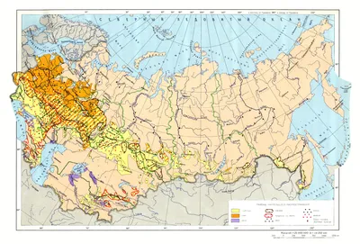 Зерновые культуры Краснодарского края: качество зерна, урожайность