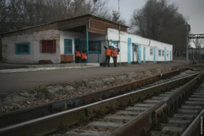 Мобильная мониторинговая группа Жарминского района провела очередной рейд в  п.Жангизтобе. В ходе рейда осуществлялся мониторинг соблюдения… | Instagram