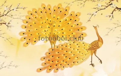 Желтые птицы ткача в парке в Танзании Стоковое Фото - изображение  насчитывающей среда, вышесказанного: 188506506